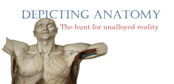 Depicting Anatomy: The hunt for unalloyed reality