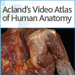 Acland's Video Atlas of Human Anatomy