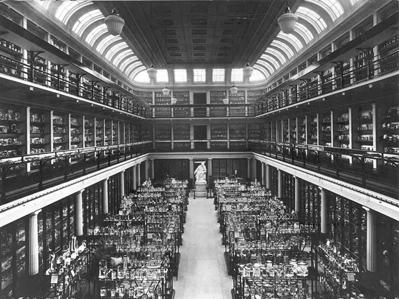 Hunterian atrium