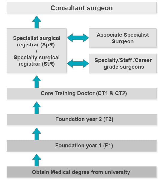 A graphic illustrating the structure of the surgial profession