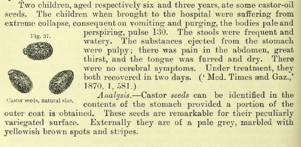Alfred Swaine Taylor 3: castor oil seed analysis