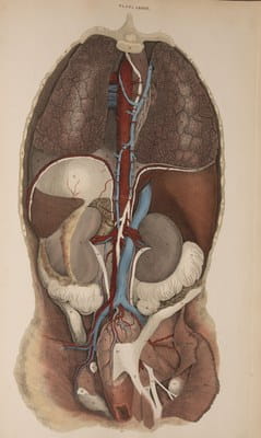 Lizars - A system of anatomical plates of the human body Collected Edition 1832
