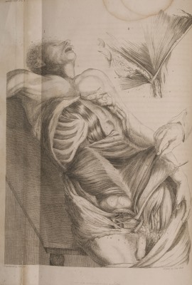 Charles Bell - A system of dissections 1799