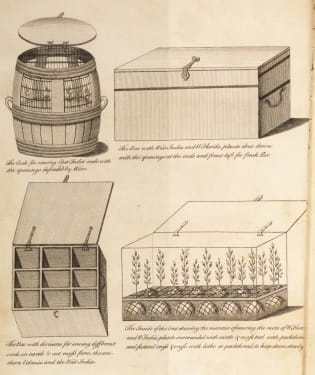 Ellis 1: transport