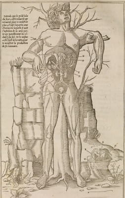 Charles Estienne - La dissection des parties du Corps humain 1546