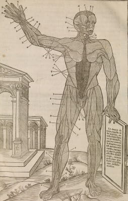 Charles Estienne - La dissection des parties du Corps humain 1546