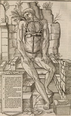 Charles Estienne - La dissection des parties du Corps humain 1546