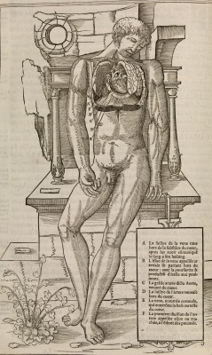 Charles Estienne - La dissection des parties du Corps humain 1546