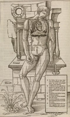 Charles Estienne - La dissection des parties du Corps humain 1546