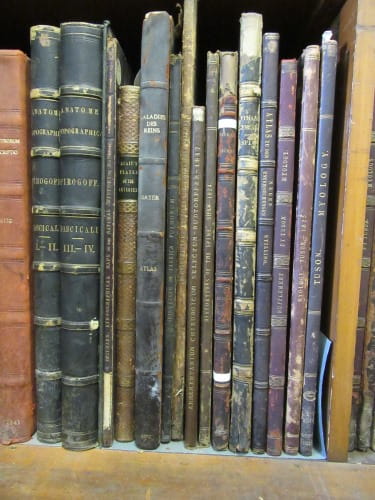 Elephant folios in the Rare Books Room