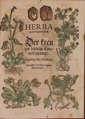 Botany 2 Egenolff Herbarum imagines vivae 1536