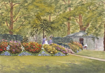 Lady Georgiana Flower watercolour garden