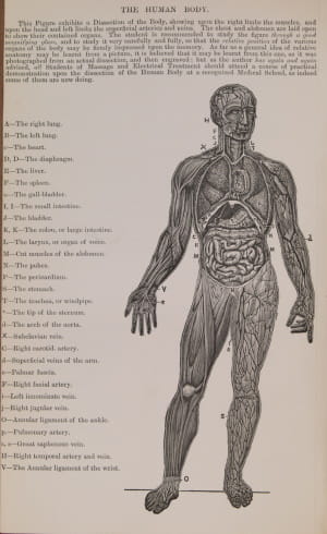 Massage and its applications : a concluding lecture delivered to nurses and masseuses, at the School of Electricity and Massage in connection with the West-End Hospital for Diseases of the Nervous System, Paralysis, and Epilepsy, 73, Welbeck Street, London, W., by Tibbits, Herbert (1887) (TRACTS 371(2))