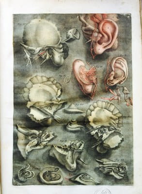 D'Agoty - Exposition anatomique