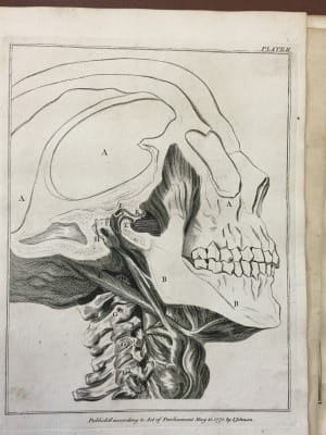  John Hunter - The natural history of the human teeth 1771