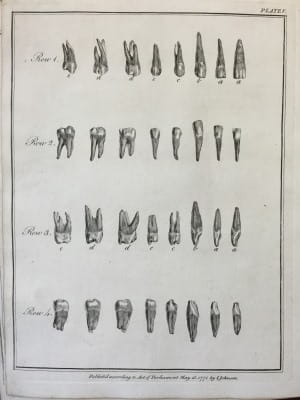  John Hunter - The natural history of the human teeth 1771