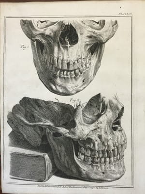 John Hunter - The natural history of the human teeth 1771