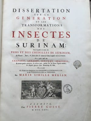 Maria Sibylla Merian - Insectes de Surinam 1726 - title page