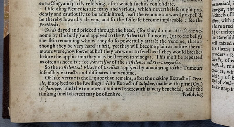 Several paragraphs of printed text