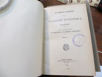 Pubblicazioni della Stazione zoologica di Napoli (1916 and 1922)