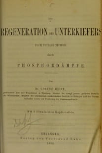 Phossy Jaw 3: Die Regeneration des Unterkiefers nach totaler Necrose durch Phosphordämpfe