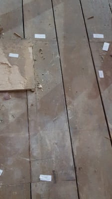 Protecting the Library 6: floor boards