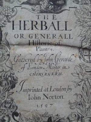 Gerard's Herball - Title Page detail