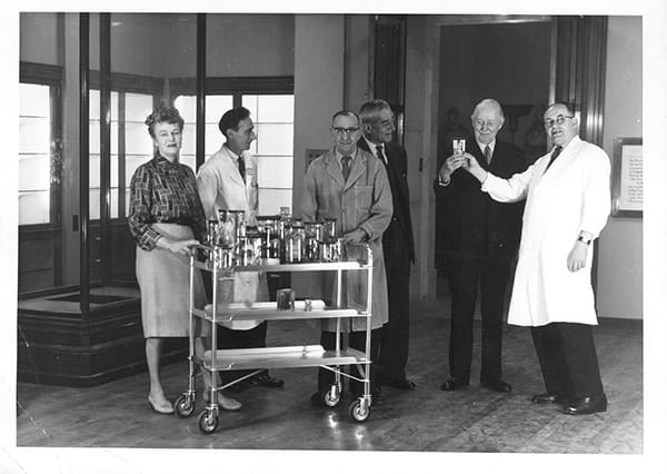 Museum staff placing the first specimens in the new museum in June 1960 