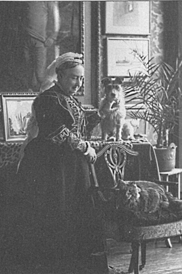 A photograph of an older woman with two small dogs