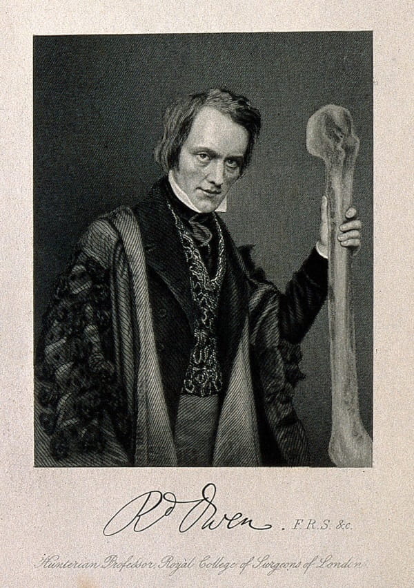 Rd Owen. F.R.S. &c. Hunterian Professor, Royal College of Surgeons of London.