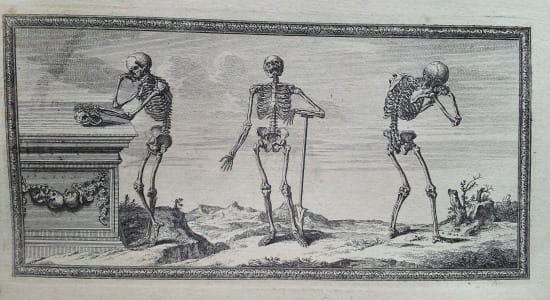 An illustration from Osteographia, depicting three human skeletons displaying a range of emotions